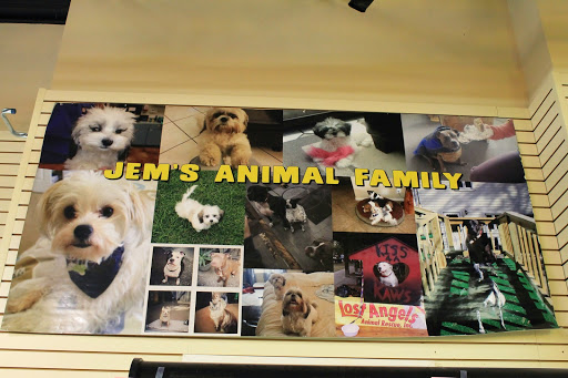 Health Food Store «Jems Natural Living», reviews and photos, 11909 Sheldon Rd, Tampa, FL 33626, USA