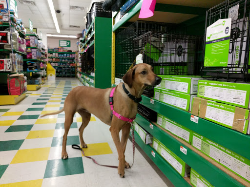Pet Supply Store «Pet Supplies Plus», reviews and photos, 2821 W Kirby Ave, Champaign, IL 61821, USA