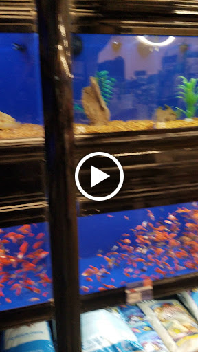 Pet Supply Store «PetSmart», reviews and photos, 5 Hampton House Rd, Newton, NJ 07860, USA