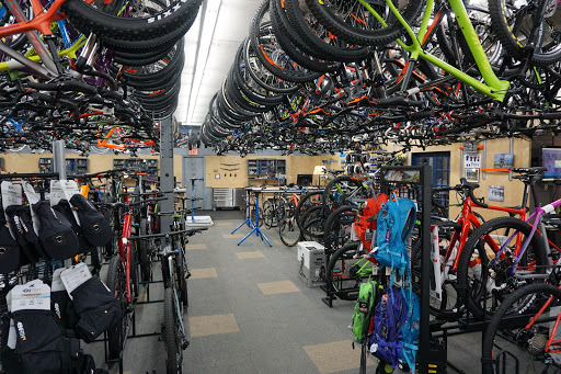 Bicycle Store «Now Bikes & Fitness», reviews and photos, 75 Snelling Ave, St Paul, MN 55104, USA