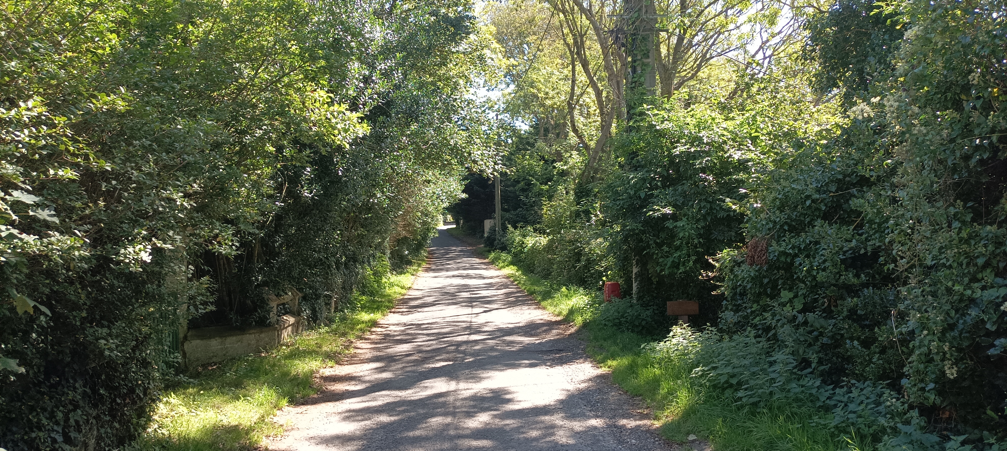 Photo n° 4 de l'avis de Unterwegssein. fait le 20/08/2023 à 18:01