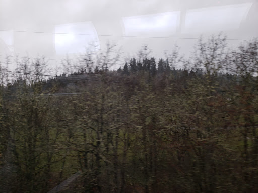 Auto Parts Store «NAPA Auto Parts - Wilson Parts Corporation», reviews and photos, 112 Wichman St S, Tenino, WA 98589, USA