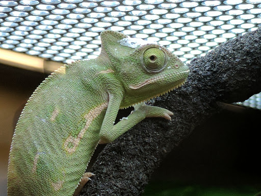 Pet Supply Store «Petco Animal Supplies», reviews and photos, 8164 Mall Pkwy, Lithonia, GA 30038, USA