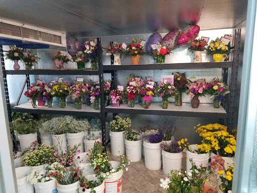 Florist «Mandarin Orchid House», reviews and photos, 3137 Stockton Hill Rd, Kingman, AZ 86401, USA