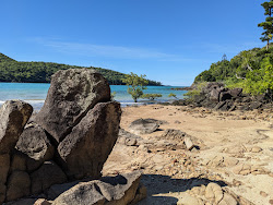 Coral Cove Beach'in fotoğrafı doğal alan içinde bulunmaktadır