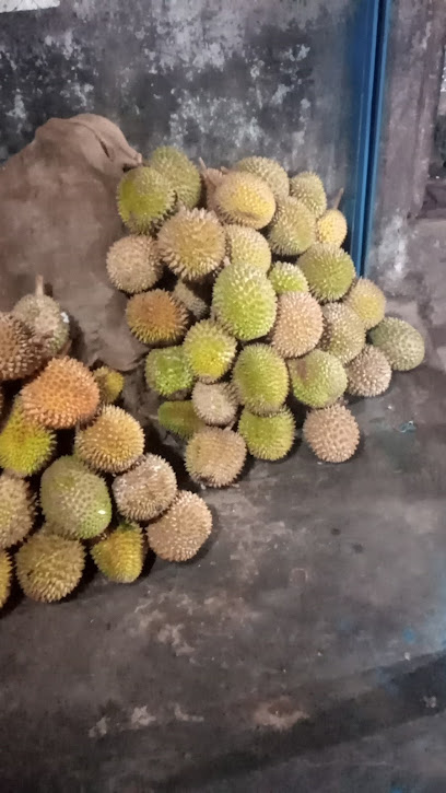 Saung durian pancawarna