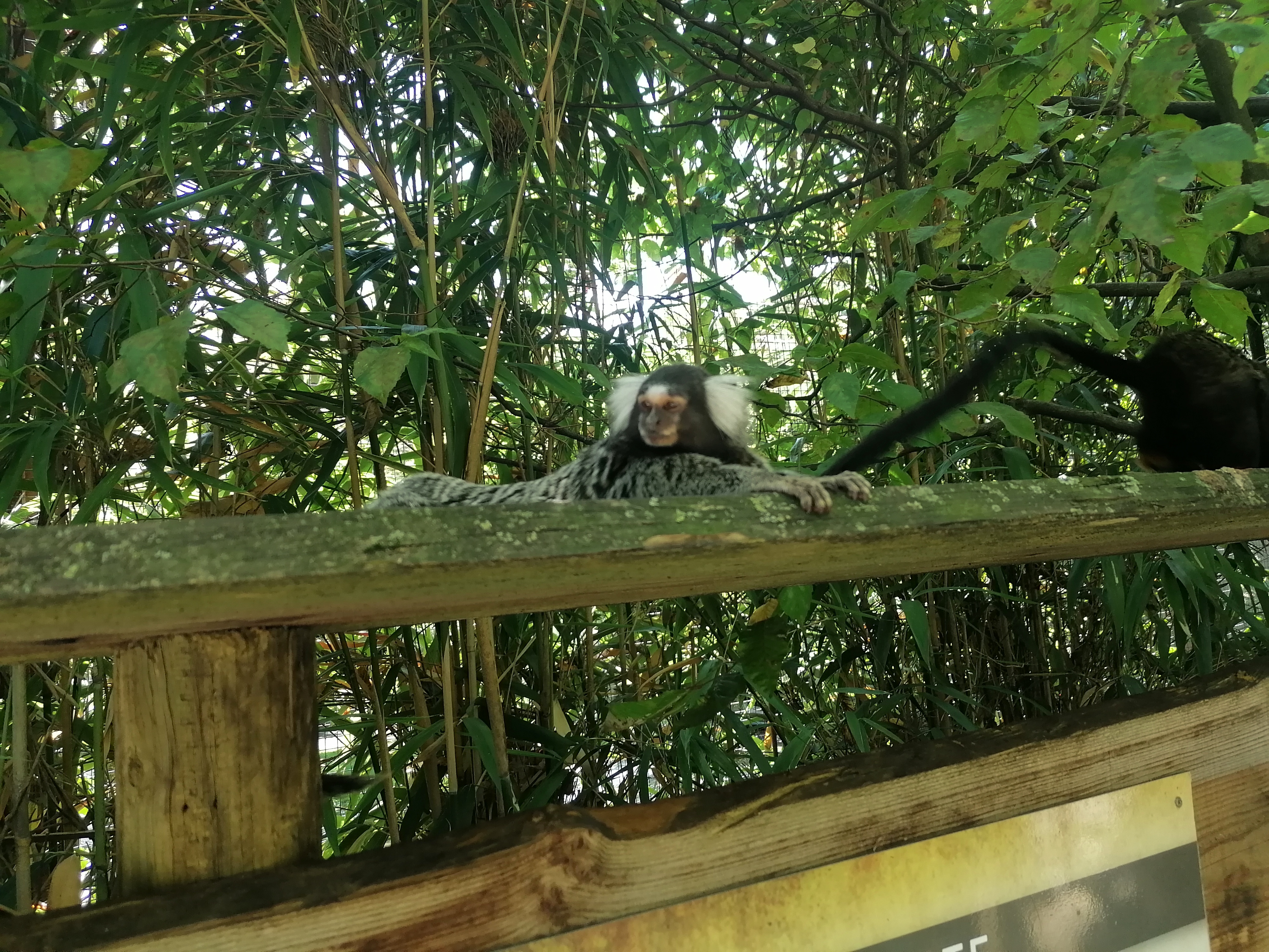 Photo n° 35 de l'avis de Gilles.. fait le 23/08/2023 à 12:57