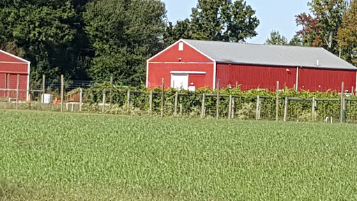 Winery «Monroeville Vineyard & Winery», reviews and photos, 314 Richwood Rd, Monroeville, NJ 08343, USA