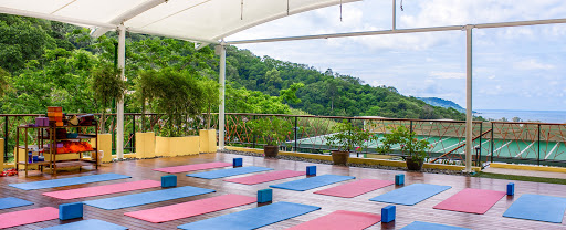 Yoga Rooftop