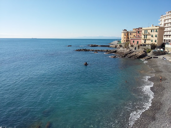 Barracuda Beach