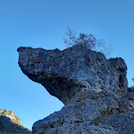 Photo n° 2 de l'avis de Christine.a fait le 23/01/2022 à 17:48 pour Parc naturel régional des Grands Causses à Millau