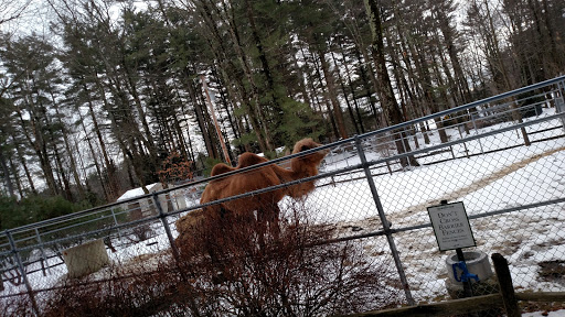 Zoo «Charmingfare Farm», reviews and photos, 774 High St, Candia, NH 03034, USA