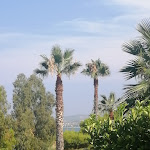 Photo n°3 de l'avis de Sabry.a fait le 01/08/2022 à 10:10 sur le  Kala Kretosa Hotel à San Giacomo-Marinella