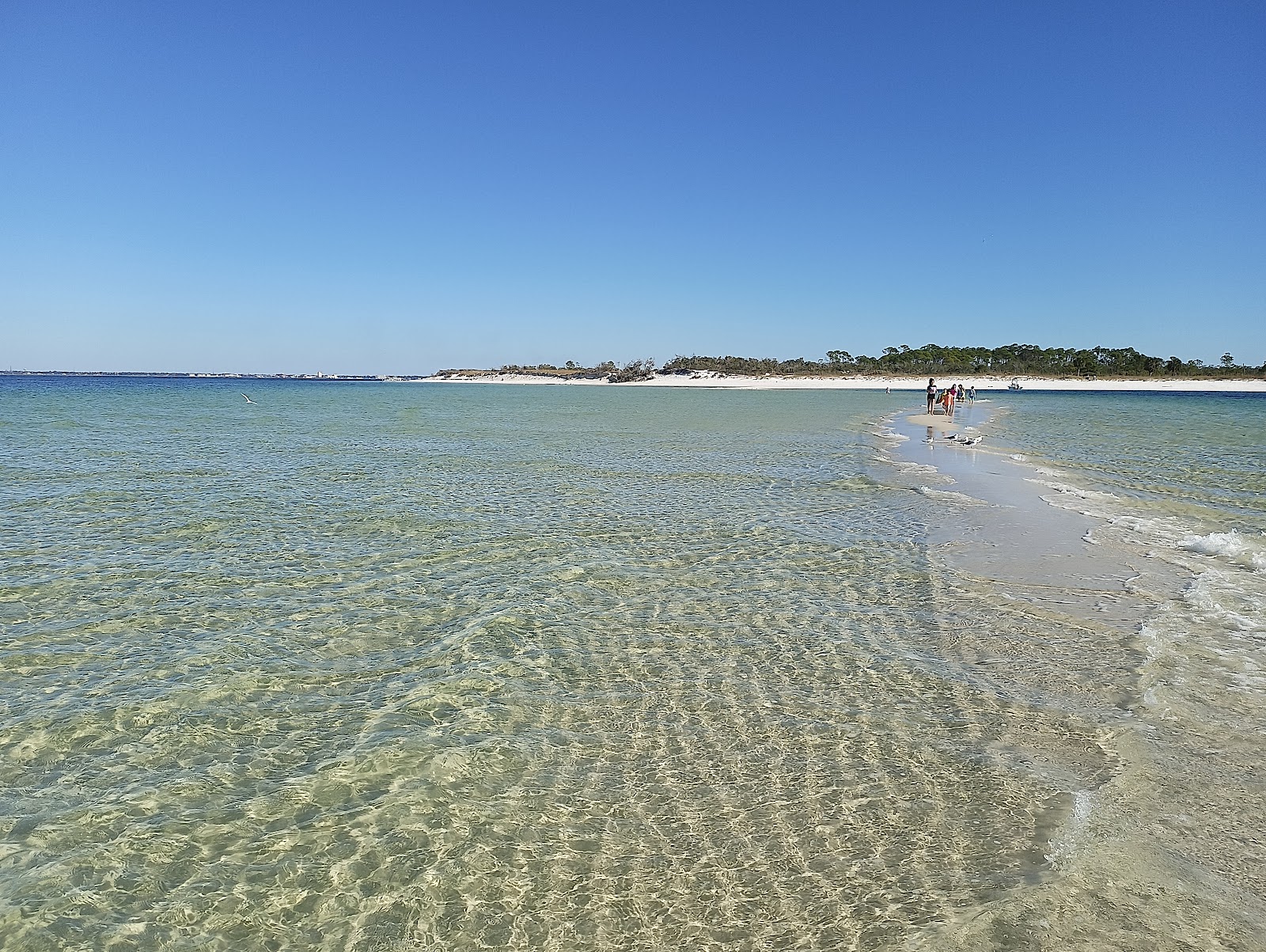 Foto de Shell Island Beach com alto nível de limpeza