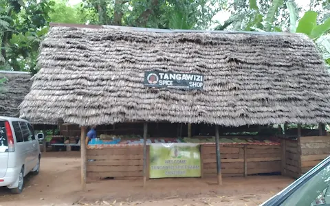 Tangawizi Spice Farm image