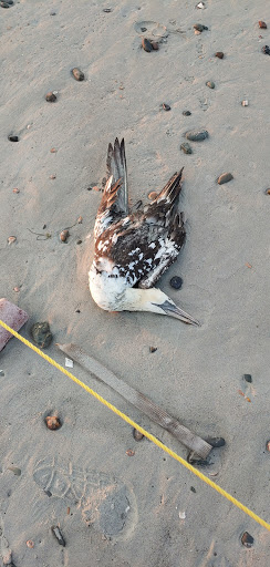 Pet Supply Store «Petco Animal Supplies», reviews and photos, 1309 W Main Rd, Middletown, RI 02842, USA