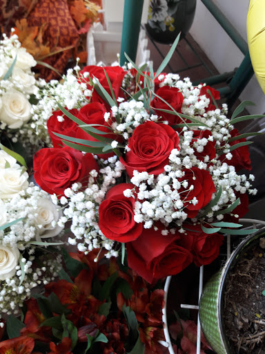 Florist «The Black Opal Florist», reviews and photos, 111 N Washington St, North Attleborough, MA 02760, USA