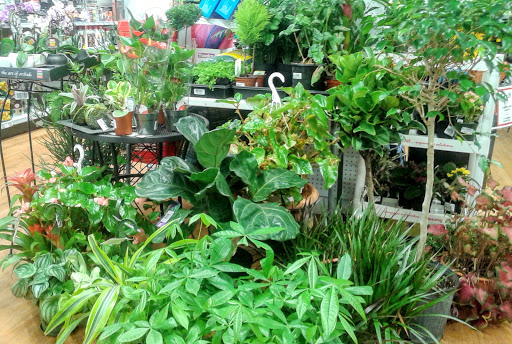 Hardware Store «Glover Park Ace Hardware», reviews and photos, 2233 Wisconsin Ave NW, Washington, DC 20007, USA