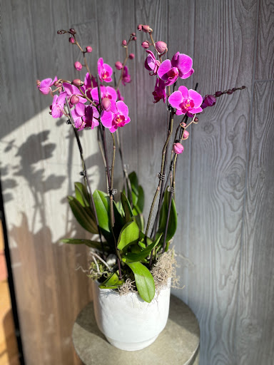 Florist «The Flower Alley», reviews and photos, 25914 Novi Rd, Novi, MI 48375, USA