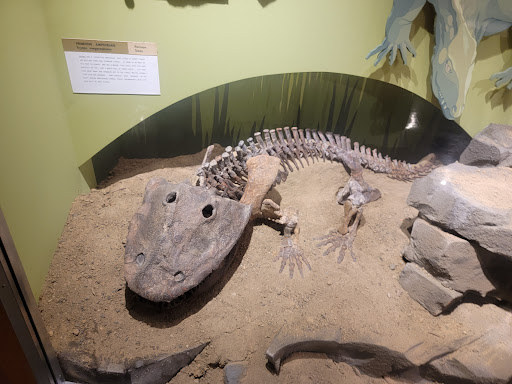 Natural History Museum «Cleveland Museum of Natural History», reviews and photos, 1 Wade Oval Dr, Cleveland, OH 44106, USA