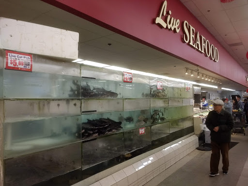 Supermarket «Lion Food Center», reviews and photos, 39055 Cedar Blvd # 168, Newark, CA 94560, USA