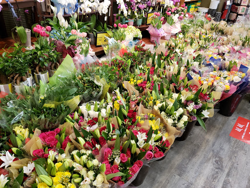 Grocery Store «Safeway», reviews and photos, 337 E Ridgeville Blvd, Mt Airy, MD 21771, USA