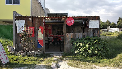 El Fenix (Tacos y Tortas) - Ejido de Totolac, 90164 San Juan Totolac, Tlaxcala, Mexico