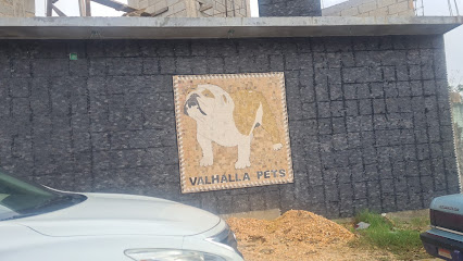 Crematorio Valhalla Pets