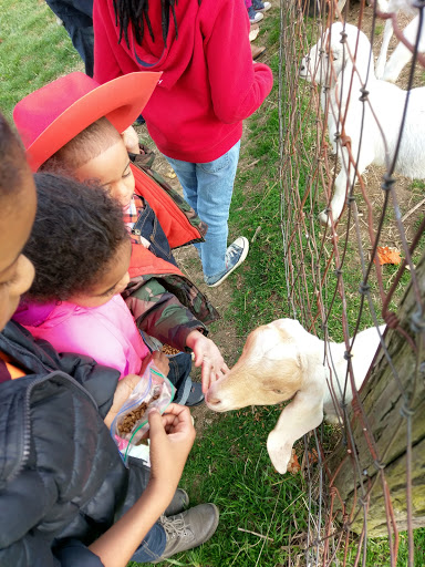 Tourist Attraction «Middleton Farm», reviews and photos, 13250 Cedar Hill Pl, Waldorf, MD 20601, USA