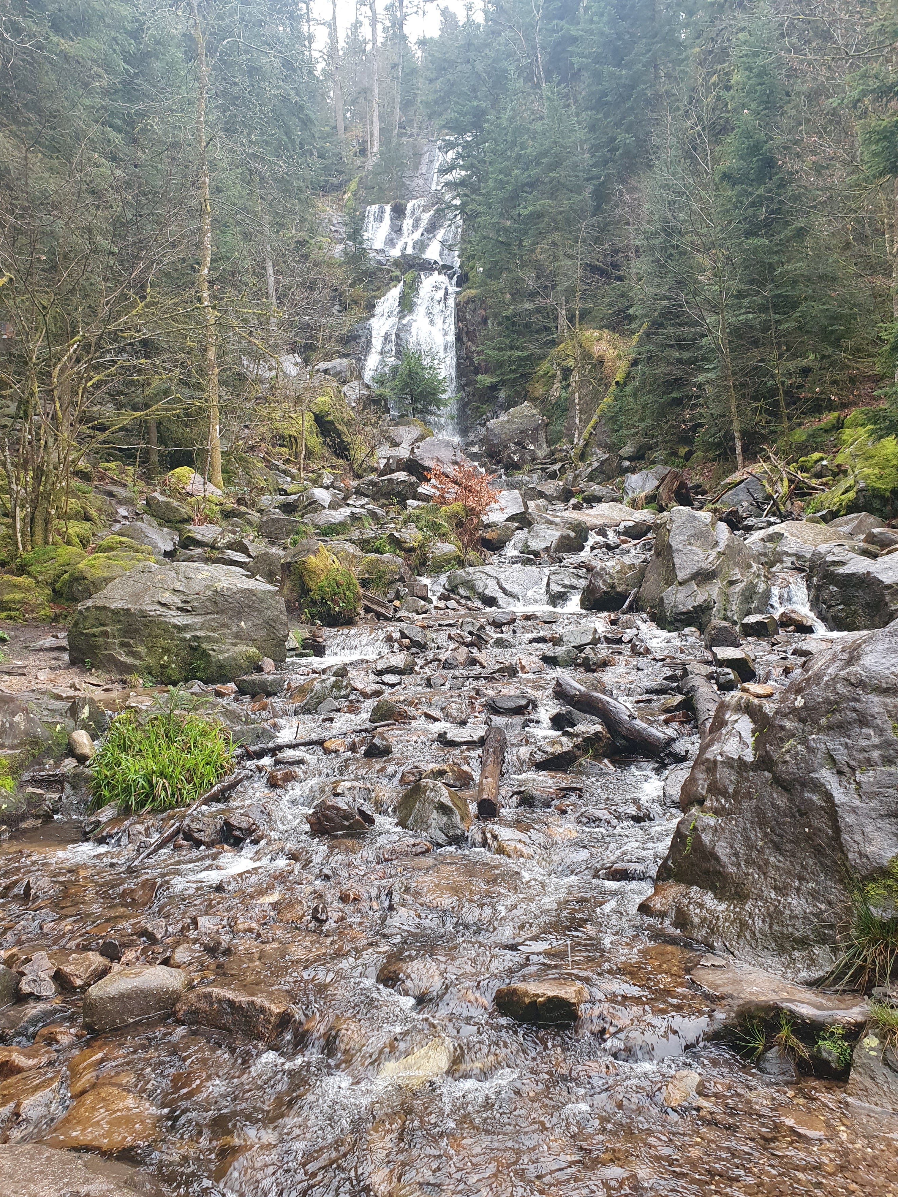 Photo n° 4 de l'avis de Jean-Yves.U fait le 27/03/2024 à 13:06