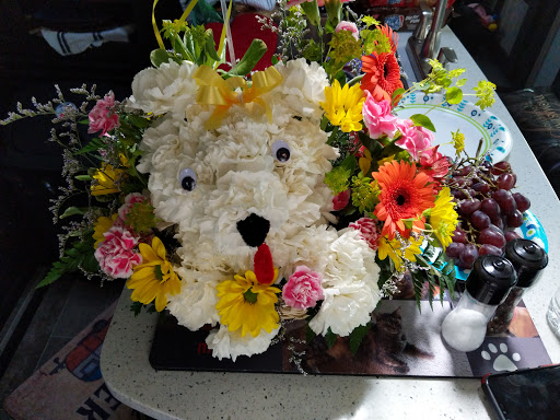 Florist «Flowers By Shirley», reviews and photos, 2200 US-1, St Augustine, FL 32086, USA