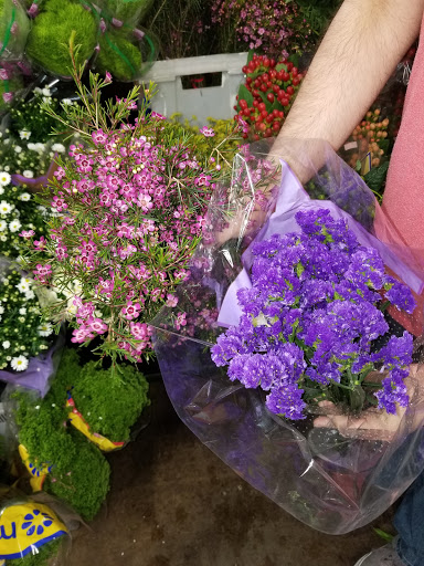 Florist «Austin Flower Co», reviews and photos, 1612 W 35th St, Austin, TX 78703, USA