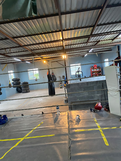 Gym de Box Manzanres - Octava, Arcoíris, 88779 Reynosa, Tamps., Mexico