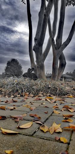 Park «Thrasher Park», reviews and photos, 93 Park Dr, Norcross, GA 30071, USA