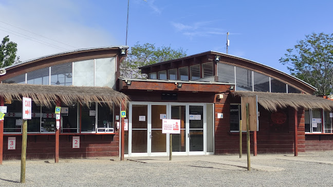 Huentelauquen Sur Canela, Coquimbo, Chile