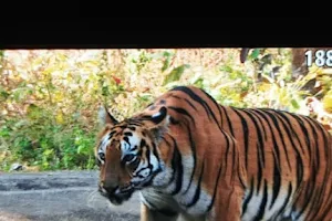 Gothangao Gate Umred pouni Karhandla Wildlife Sanctuary image