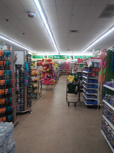 Dollar Store «Dollar Tree», reviews and photos, 330 N Main St, Randolph, MA 02368, USA