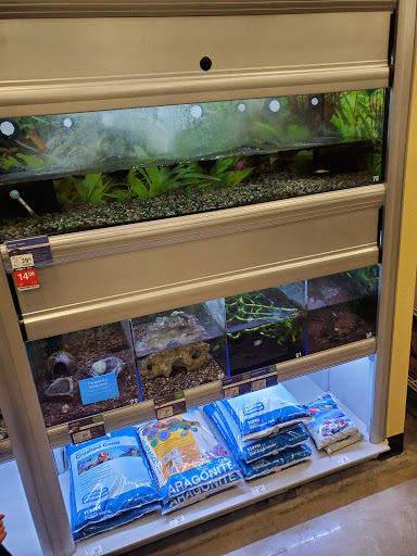 Pet Supply Store «PetSmart», reviews and photos, 1115 Vidina Pl, Oviedo, FL 32765, USA