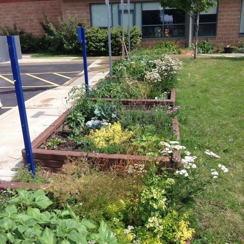 M.O.L.E. Garden - Montessori Outdoor Learning Experience
