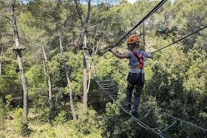 Le Royaume des Arbres - Le Castellet image