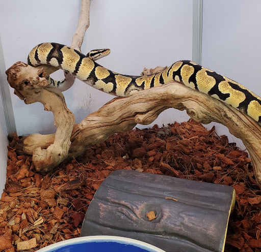 Pet Supply Store «Pet Supermarket, Inc.», reviews and photos, 1052 Peachtree Industrial Blvd, Suwanee, GA 30024, USA