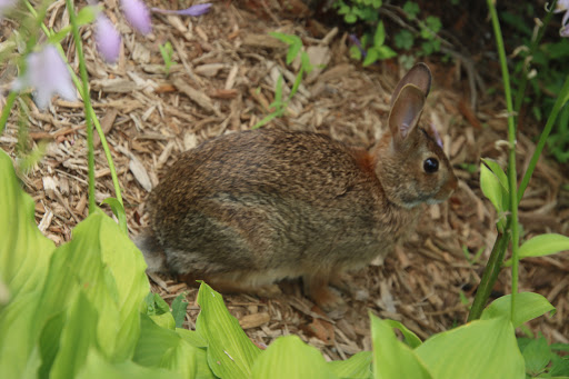 Park «Post Park», reviews and photos, 451 Unqua Rd, Massapequa Park, NY 11762, USA