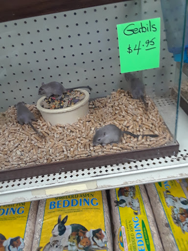 Pet Store «Pettin Place», reviews and photos, 1121 S Wells Ave, Reno, NV 89502, USA