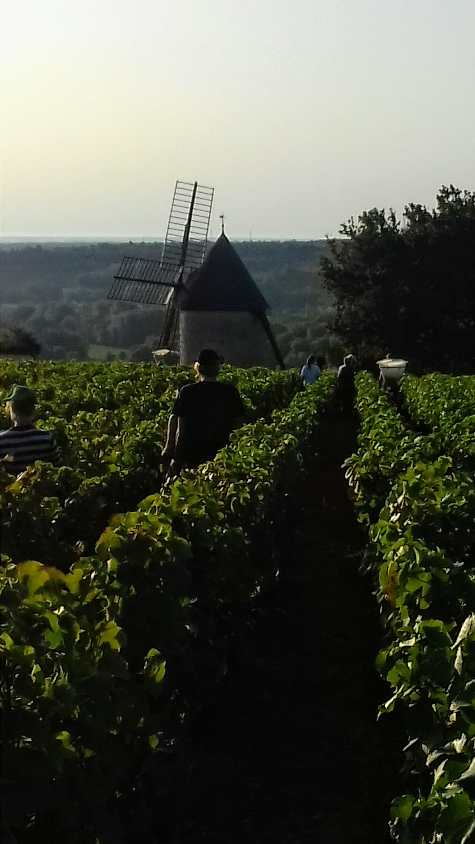Photo n° 1 de l'avis de Ann.e fait le 07/02/2020 à 21:49