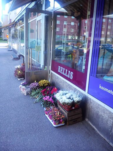Kukkakauppa Bellis