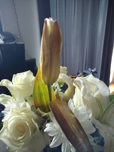 Florist «Flower Basket», reviews and photos, 302 N Lake St, Aurora, IL 60506, USA