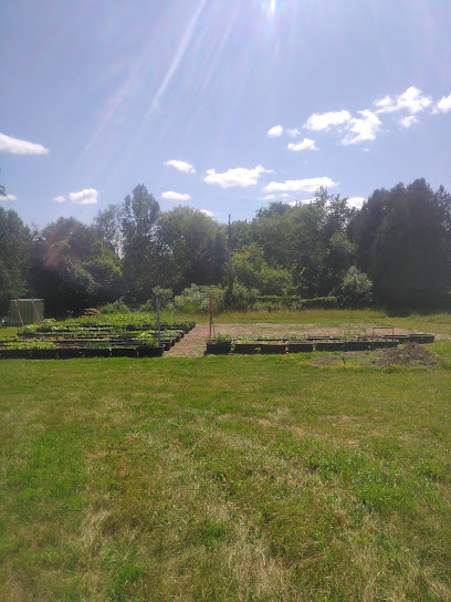 Guelph Youth Farm