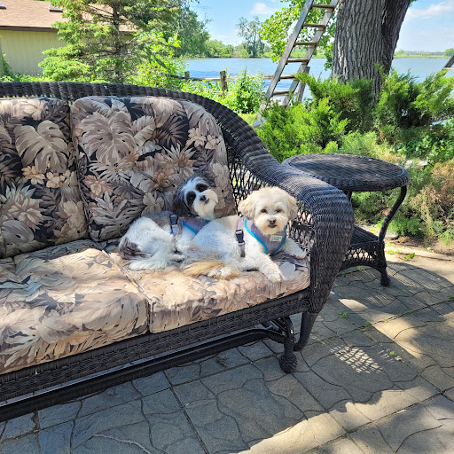 Pet Supply Store «Your Pet Stop», reviews and photos, 501 E 41st St, Sioux Falls, SD 57105, USA