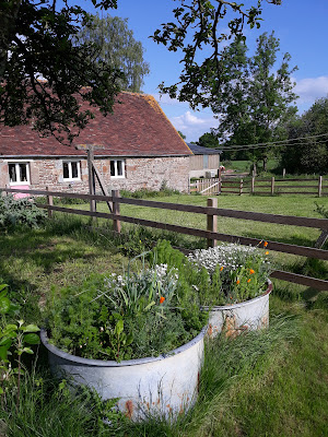La Ferme Buissonnière à La Lande-de-Lougé