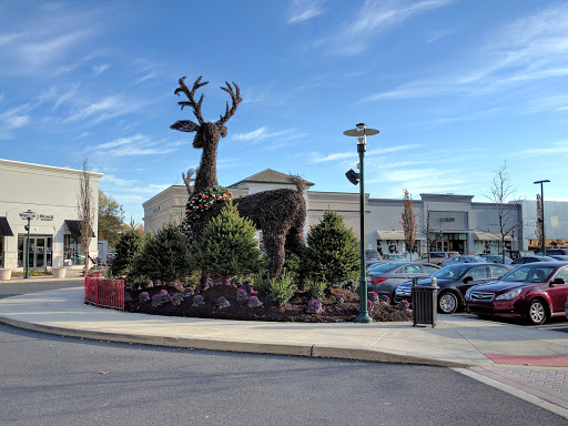 Computer Store «Apple Lehigh Valley», reviews and photos, 250 Lehigh Valley Mall, Whitehall, PA 18052, USA